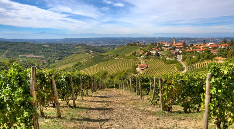 Rows of vineyards on the hills and small town on background under beautiful sky in Piedmont, Northern Italy.